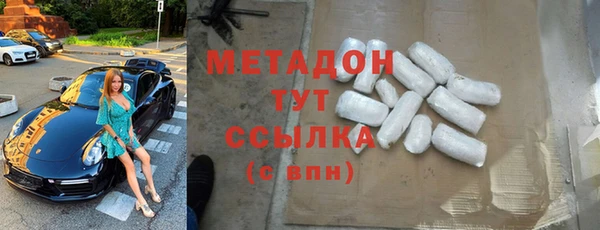 прущие грибы Осташков