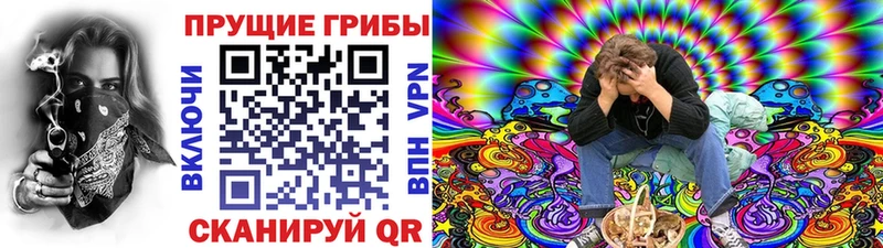 Галлюциногенные грибы MAGIC MUSHROOMS  Ленинградская 